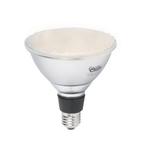 E27 LED PAR 38 lamp 15W 1250 lumen 3000K