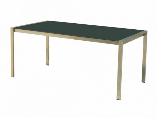 Granada 160 x 90 RVS tafel met tempered glas.