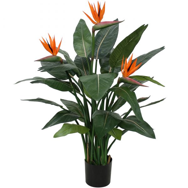 Designplants Strelitzia kunstplant