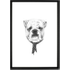 Cooldog door Balazs Solti, 30 x 42cm (A3) ingelijste print