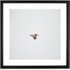 Solo Flight door Kevin Russ, 50 x 50cm ingelijste print