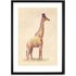 Fashionable Giraffe door Terry Fan, 42 x 59cm (A2) ingelijste print