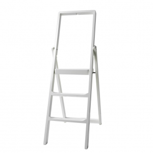 Step ladder wit