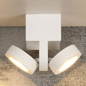 Witte LED spot Mitrax - 2-lichtbr.