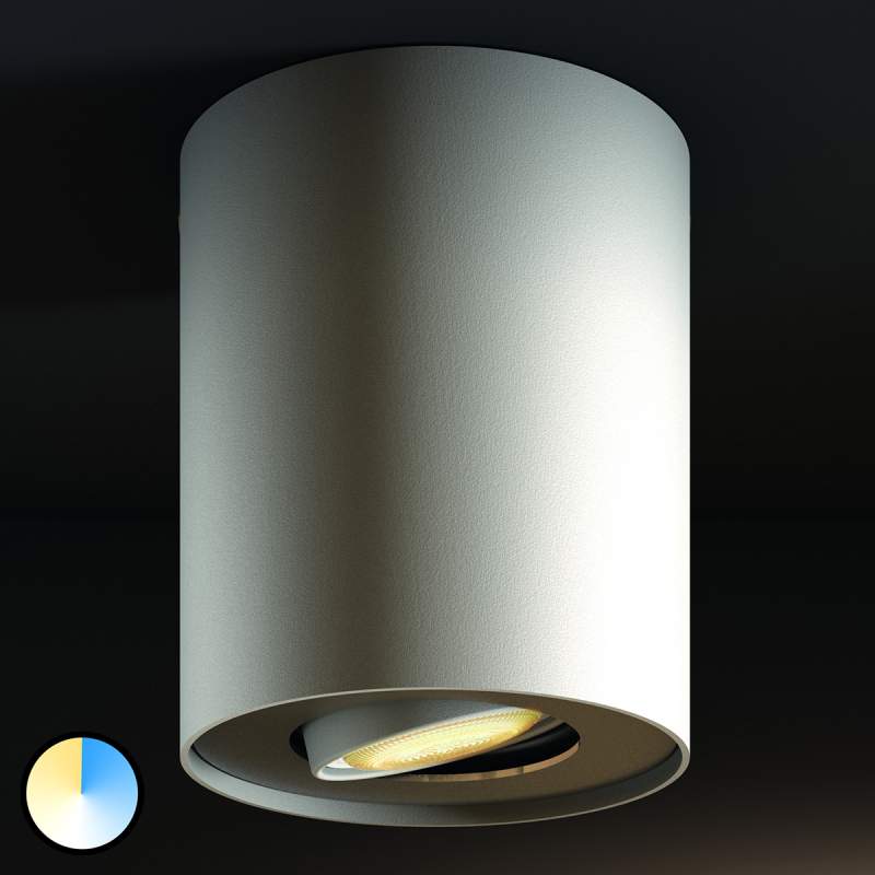 Varieerbare Philips Hue LED spot armatuur Pillar