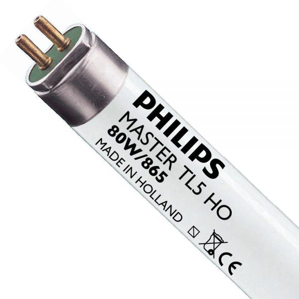 Philips TL5 HO 80W 865 (MASTER) | 145cm - Daglicht