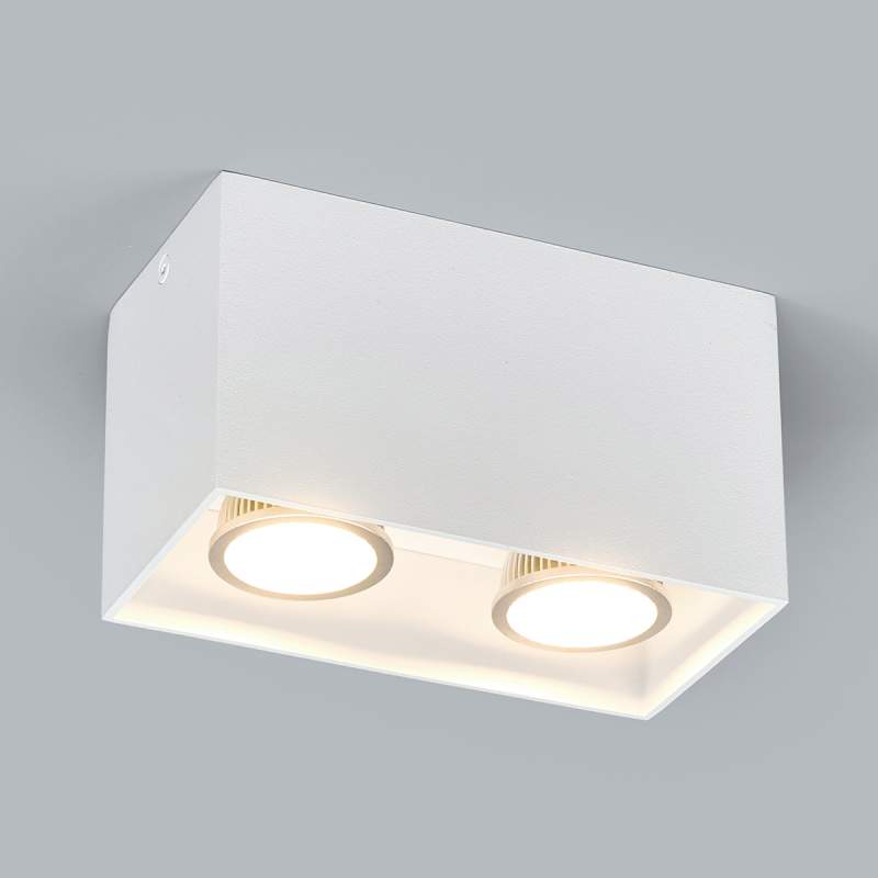 2-vlammig Opbouw-downlight Carson in wit