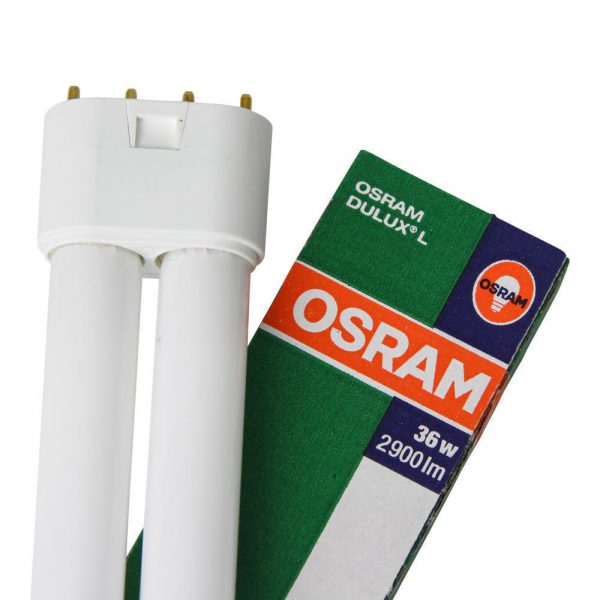 Osram Dulux L 36W 830 | Warm Wit - 4-Pin