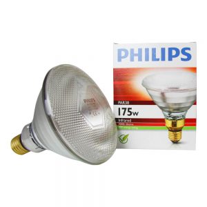 Philips PAR38 IR 175W E27 230V Helder